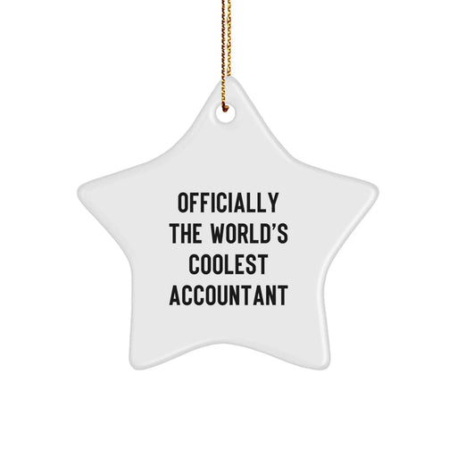 Funny Accountant Gifts from Men to Friends, Christmas Unique Star Ornaments for Accountants, World's Coolest Accountant Star - Image 1