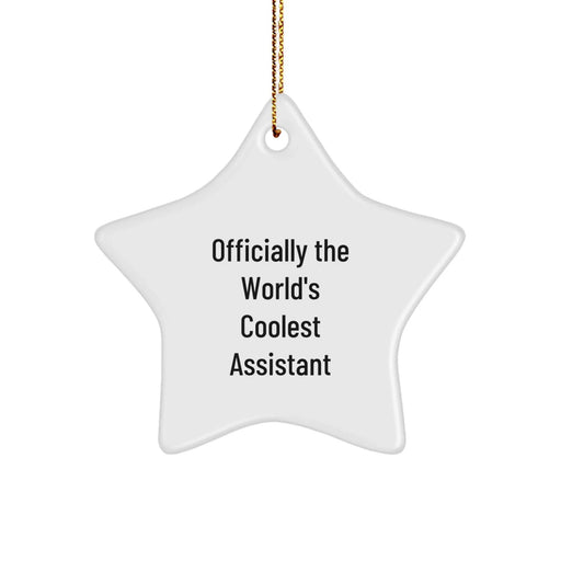 Funny Assistant Star Ornaments, Gifts from Men or Women to Assistants or Coworkers for Christmas Unique Gifts - Image 1