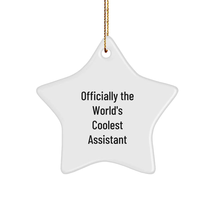 Funny Assistant Star Ornaments, Gifts from Men or Women to Assistants or Coworkers for Christmas Unique Gifts - Image 1