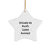 Funny Assistant Star Ornaments, Gifts from Men or Women to Assistants or Coworkers for Christmas Unique Gifts - Image 1
