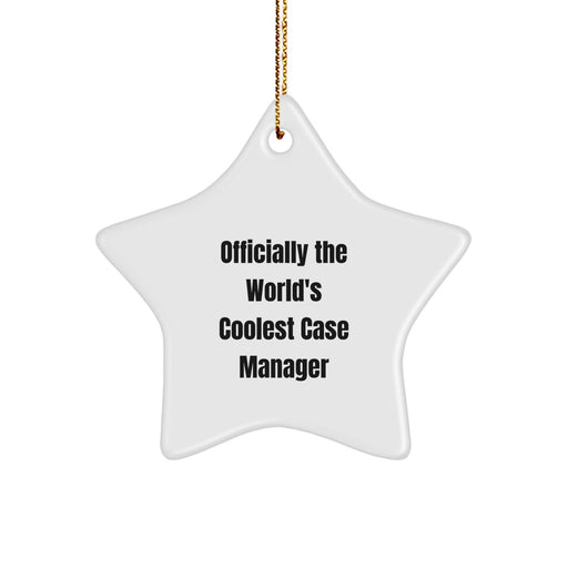 Funny Case Manager Gifts from Men, Women, Coworkers to Case Managers, Friends, Family for Christmas Unique Star Ornament - Image 1