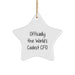 Funny CFO Gifts for Men, Women, Friends - Officially The World's Coolest Cfo Christmas Star Ornament, White Star Shaped, Durable MDF with High-Gloss Finish, Ideal Gift for CFO, CFO Gifts from Friends - Image 1