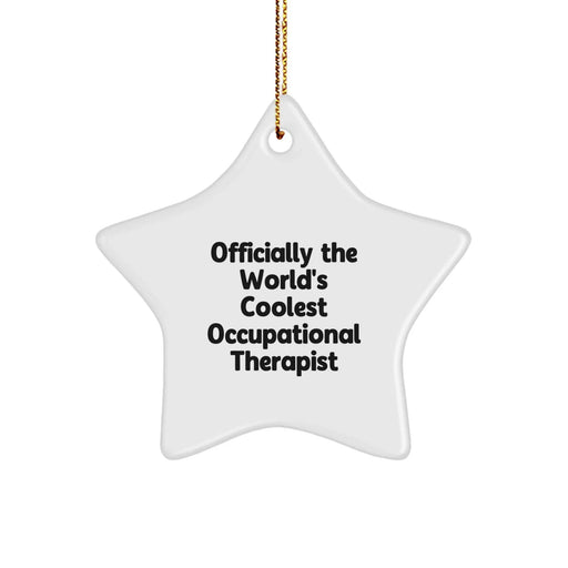 Funny Occupational Therapist Gifts, Star Ornament, Christmas Unique Gifts from Men, Women, Family to Occupational Therapist, Friends, Coworkers - Image 1