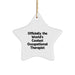 Funny Occupational Therapist Gifts, Star Ornament, Christmas Unique Gifts from Men, Women, Family to Occupational Therapist, Friends, Coworkers - Image 1