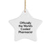 Funny Pharmacist Gifts, Christmas Unique Star Ornament, Gifts from Friends for World's Coolest Pharmacist - Image 1