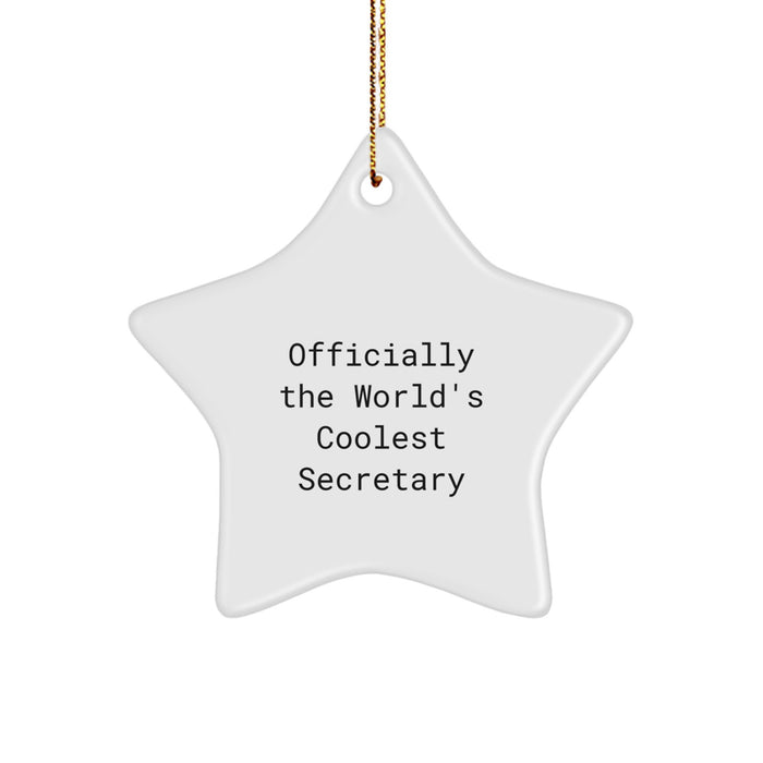 Funny Secretary Star Ornament Gifts from Men to Friends, Officially The World's Coolest Secretary Christmas Unique Gifts for Secretary - Image 1