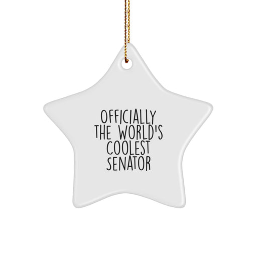 Funny Senator Gifts for Men, Christmas Unique Gifts from Friends, Officially The World's Coolest Senator Star Ornament, Star Ornament for Senator - Image 1