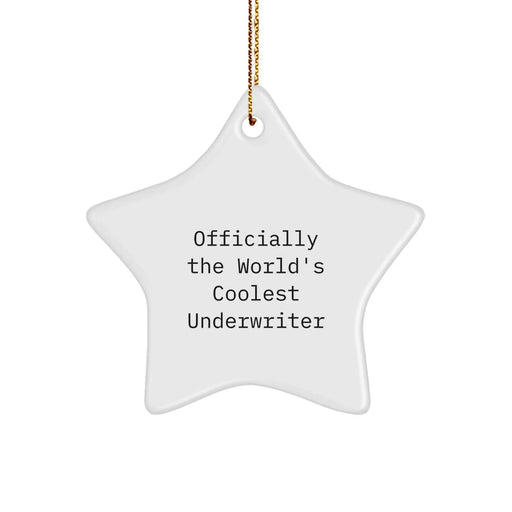 Funny Underwriter Gifts from Family, Star Ornament for Underwriter Friends, Christmas Unique Gifts for Underwriter Men, Officially The World's Coolest Underwriter Star - Image 1