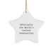 Funny Underwriter Gifts from Family, Star Ornament for Underwriter Friends, Christmas Unique Gifts for Underwriter Men, Officially The World's Coolest Underwriter Star - Image 1