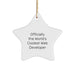 Funny Web Developer Star Ornament, Gifts from Friends for the Officially The World's Coolest Web Developer, Unique Christmas Unique Gifts for Men, Women, Coworkers, Family - Image 1