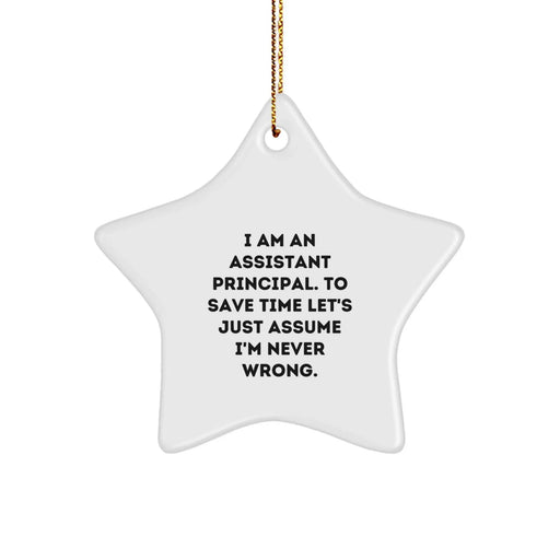 Funny Assistant Principal Gifts from Men, Inspirational Star Ornament with Quote, Christmas Unique Office Decorations for Assistant Principals - Image 1