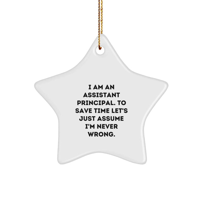 Funny Assistant Principal Gifts from Men, Inspirational Star Ornament with Quote, Christmas Unique Office Decorations for Assistant Principals - Image 1