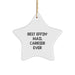 Funny Mail Carrier Star Ornament Gifts for Men from Family, Best Effin' Mail Carrier Ever Christmas Unique Decorations - Image 1