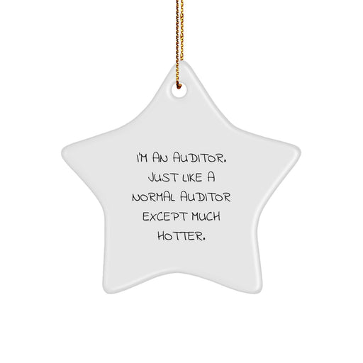 Auditor Gifts for Christmas: I'm An Auditor. Just Like A Normal Auditor Except Much Hotter., Funny Star Ornament, Gifts from Men, Gifts for Auditors, Christmas Unique Gifts - Image 1