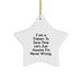 Funny Trainer Gifts from Friends for Christmas Unique Trainer Star Ornament Trainers Gift - 'I Am A Trainer. To Save Time Let's Just Assume I'm Never Wrong.' - Image 1