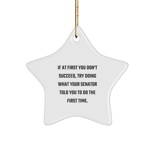 Funny Senator Gifts, Cute Star Ornament for Senator, Inspirational Quote Gifts from Friends for Senator - Image 1