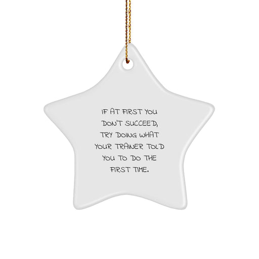 Funny Trainer Star Ornament, Gifts from Family for Trainer, Inspirational Christmas Unique Gifts - Image 1