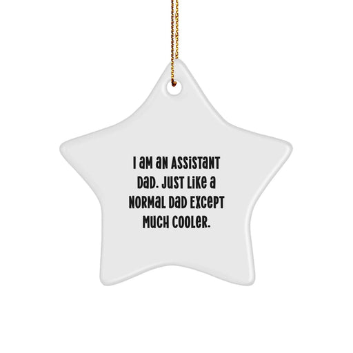 Assistant Dad Star Ornament Funny Gift for Family Men Friends from Men, Funny Assistant Dad Christmas Unique Gifts for Men Friends Coworkers Family Assistant - Image 1