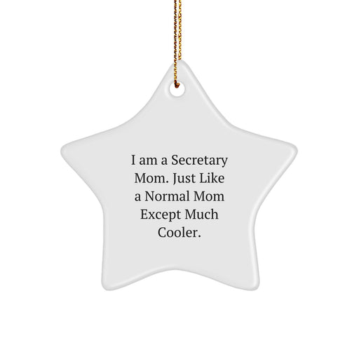 Funny Secretary Star Ornament Gifts from Friends for Secretary Mom Christmas Unique Decorations - Image 1