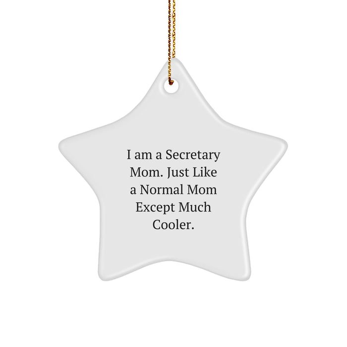 Funny Secretary Star Ornament Gifts from Friends for Secretary Mom Christmas Unique Decorations - Image 1