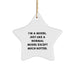 Funny Model Star Ornament Gifts from Santa for Friends, Christmas Unique Gifts for Women, Model Enthusiast Decorations - Image 1