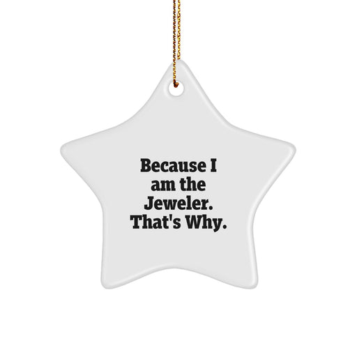 Funny Jeweler Gifts from Men to Star Ornament Lovers, Star Shaped Decorations for Christmas Unique Gifts - Image 1