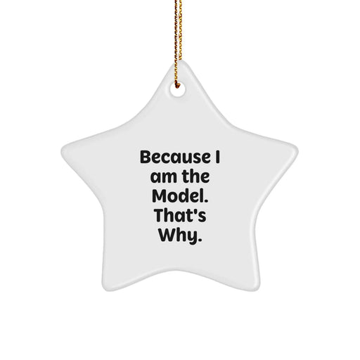Funny Model Star Ornament Gifts from Friends for Christmas Decoration - Image 1
