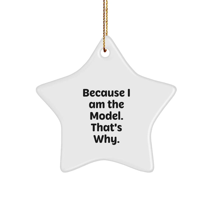 Funny Model Star Ornament Gifts from Friends for Christmas Decoration - Image 1