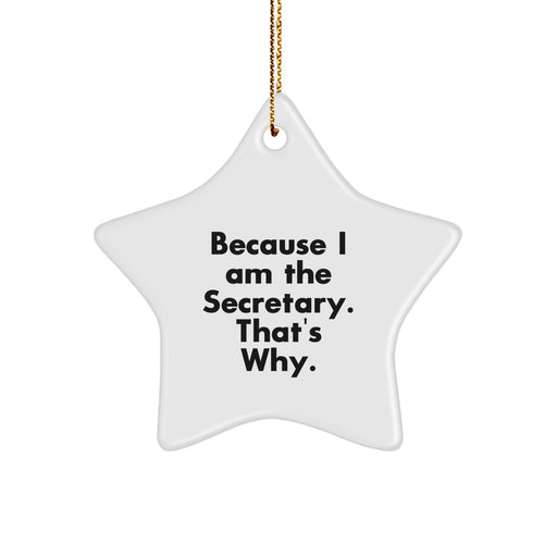 Funny Secretary Star Ornament Gifts from Men to Women Friends Family Coworkers - Because I Am The Secretary. That's Why. - Image 1