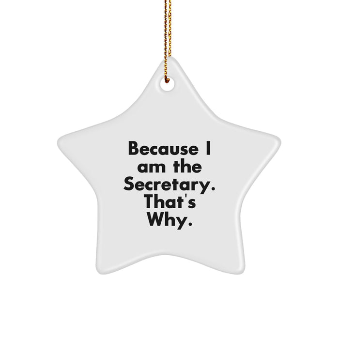 Funny Secretary Star Ornament Gifts from Men to Women Friends Family Coworkers - Because I Am The Secretary. That's Why. - Image 1