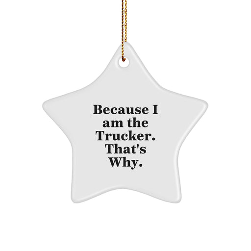 Funny Trucker Star Ornament Gifts for Men from Family - Because I Am The Trucker That's Why. Christmas Decor Star Shape - Image 1