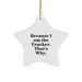 Funny Trucker Star Ornament Gifts for Men from Family - Because I Am The Trucker That's Why. Christmas Decor Star Shape - Image 1