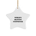 Funny Stepsister Gifts from Men - World's Okayest Stepsister Star Ornament, Unique Christmas Unique Gift for Stepsister - Image 1
