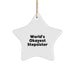 Funny Stepsister Gifts from Men for Stepsister, Star Ornament Quote 'World's Okayest Stepsister', Christmas Unique Gifts for Family - Image 1