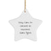 Funny Insurance Sales Agent Gifts for Men, Star Ornament, 'Keep Calm, I'm (almost) An' Christmas Unique - Image 1