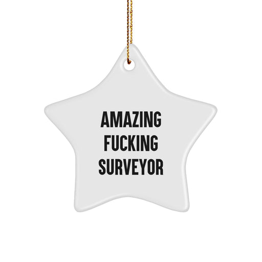 Funny Star Ornaments Gifts from Friends for Surveyor Christmas Unique Decorations - Amazing F--king Surveyor Quote - Image 1