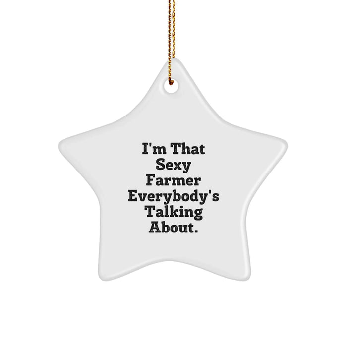 Farmer's Star Ornament, I'm That Sexy Farmer Everybody's Talking About, Gifts from Friends for Christmas - Image 1