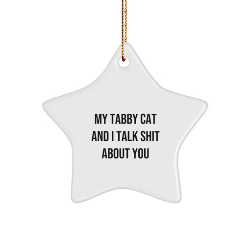 Funny Tabby Cat Star Ornament Gifts from Friends for Tabby Cat Lovers - My Tabby Cat And I Talk Shit About You Christmas Unique Gifts - Image 1