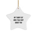 Funny Tabby Cat Star Ornament Gifts from Friends for Tabby Cat Lovers - My Tabby Cat And I Talk Shit About You Christmas Unique Gifts - Image 1