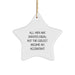 Gifts from Friends and Family for the Coolest Accountant - Funny Star Ornament for Christmas Unique Gifts - Image 1