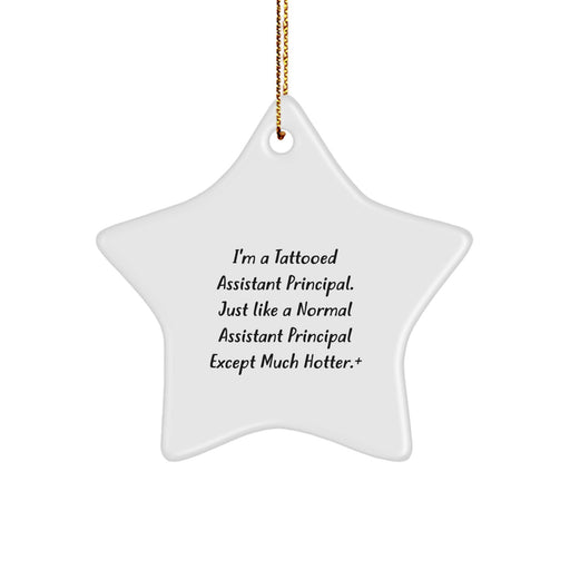Funny Assistant Principal Christmas Star Ornament Gifts for Men, Gifts from Family, Friends, Coworkers, Unique Christmas Unique Gift Idea - Image 1