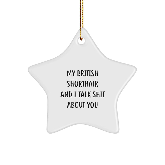 Funny British Shorthair Cat Star Ornament Gifts from Friends and Family for Christmas - Image 1