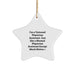 Funny Physician Assistant Star Ornament, Unique Gifts for Men, Women, Friends, Coworkers, Family from Physician Assistant Enthusiasts, Christmas Unique Gifts, Star Shaped Decorations - Image 1
