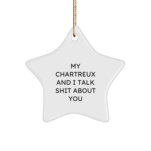 Funny Chartreux Cat Lover Gifts from Friends for Christmas Unique Star Ornament, My Chartreux And I Talk Shit About You Quotes - Image 1