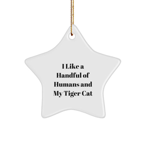 Funny Tiger Cat Star Ornament Gifts from Men to Family for Christmas Unique Gift Ideas - Image 1