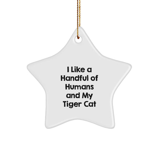 Funny Tiger Cat Star Ornament Gift for Friends, Men, Women, Christmas Unique Decorations, Gifts from Women to Tiger Cat Lovers - Image 1