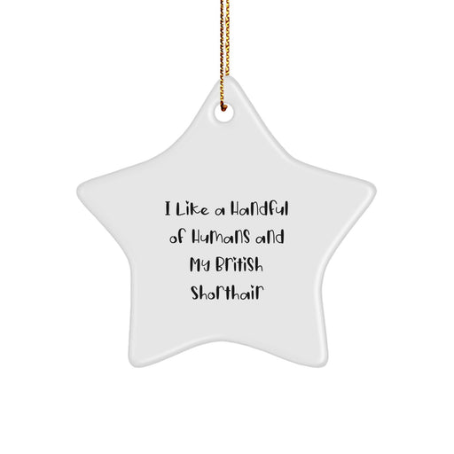 British Shorthair Cat Star Ornament Funny Quote Gifts from Men to Friends for British Shorthair Cat Lovers Christmas Unique Decorations - Image 1
