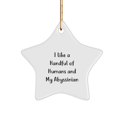 Abyssinian Cat Star Ornament Funny Gift for Abyssinian Cat Lovers, Christmas Unique Gifts from Men, Gifts for Friends and Family - Image 1