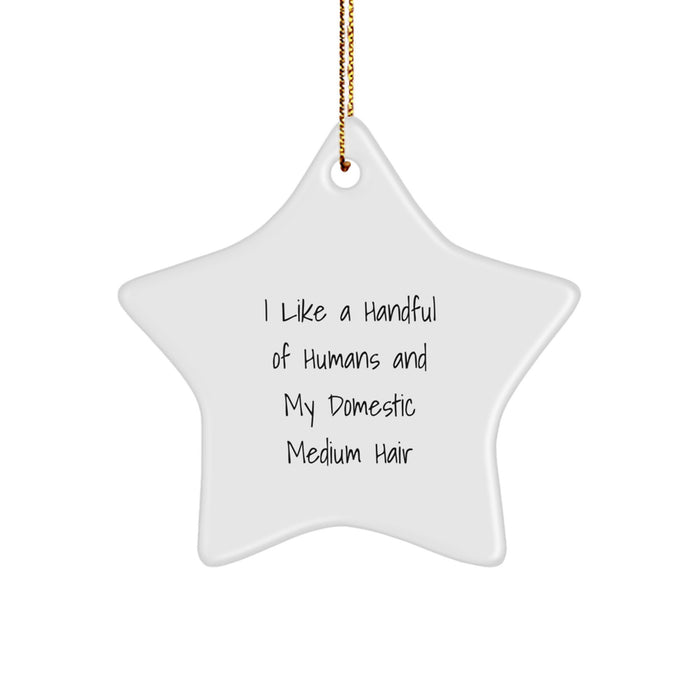 Funny Domestic Medium Hair Gifts from Men for Women Star Ornament I Like A Handful Of Humans And My Domestic Medium Hair Christmas Unique Gifts - Image 1