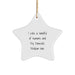 Funny Domestic Medium Hair Gifts from Men for Women Star Ornament I Like A Handful Of Humans And My Domestic Medium Hair Christmas Unique Gifts - Image 1